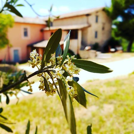 Tenuta San Felice Giano dellʼUmbria Exteriér fotografie