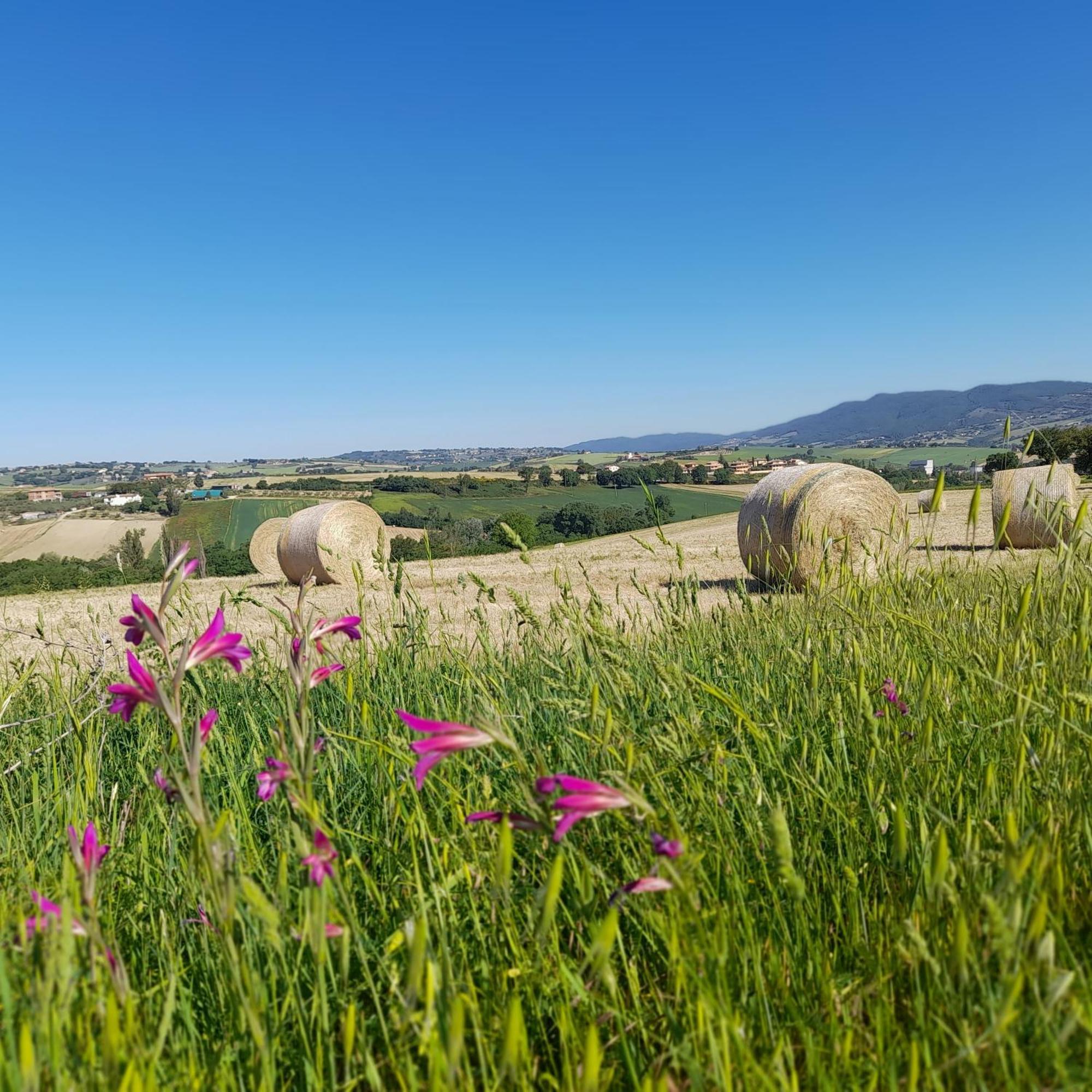 Tenuta San Felice Giano dellʼUmbria Exteriér fotografie