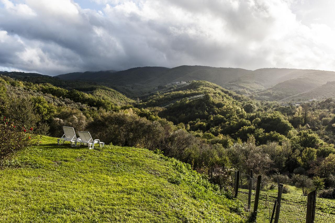 Tenuta San Felice Giano dellʼUmbria Exteriér fotografie