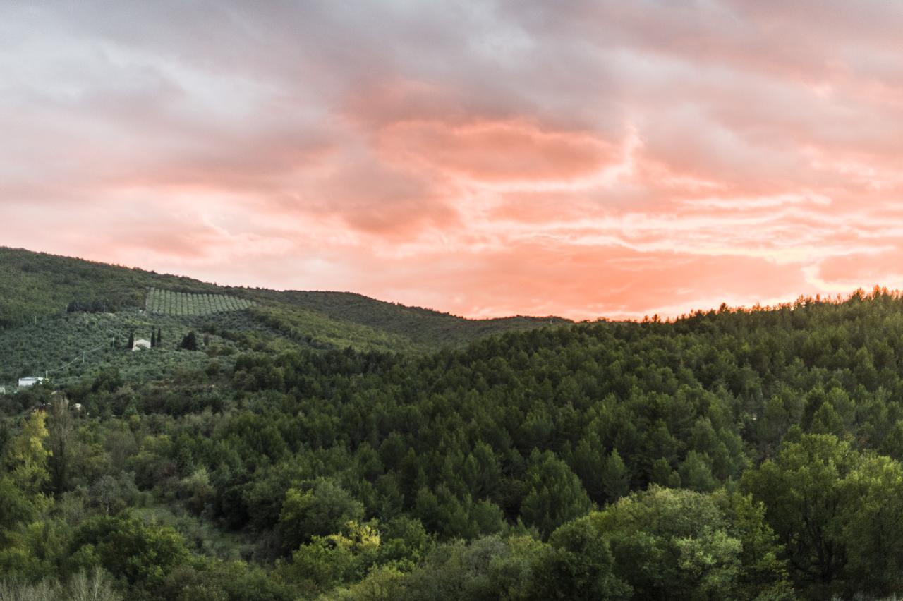 Tenuta San Felice Giano dellʼUmbria Exteriér fotografie