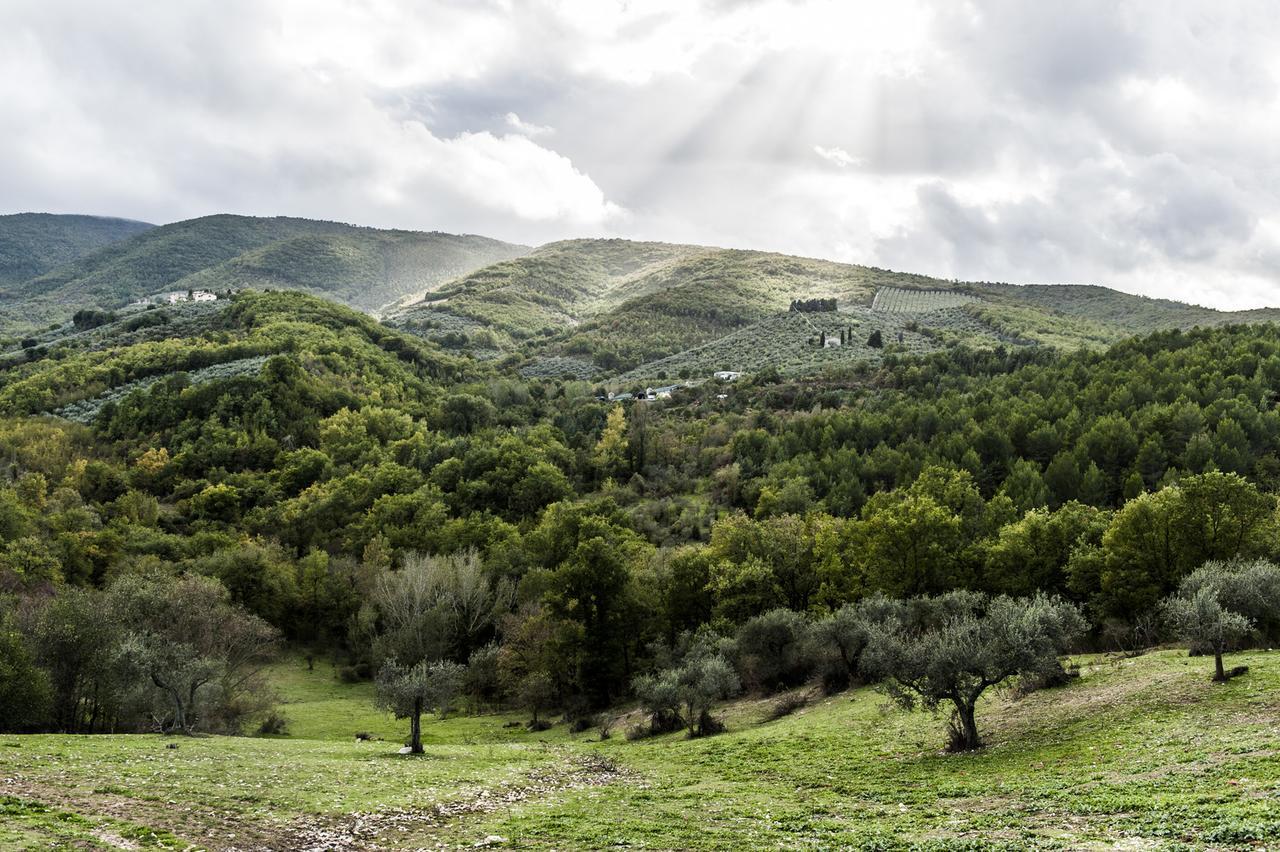 Tenuta San Felice Giano dellʼUmbria Exteriér fotografie